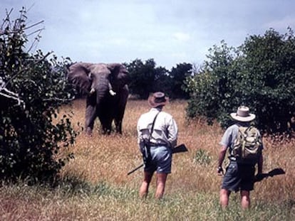 Dos guías de safari, ante un magnífico ejemplar de elefante en Kenia.