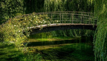 Monet pintó este puente japonés al menos 15 veces para “capturarlo bajo distintas luces”.