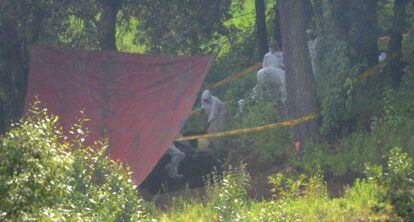 Peritos forenses en la fosa donde han hallado los cuerpos.