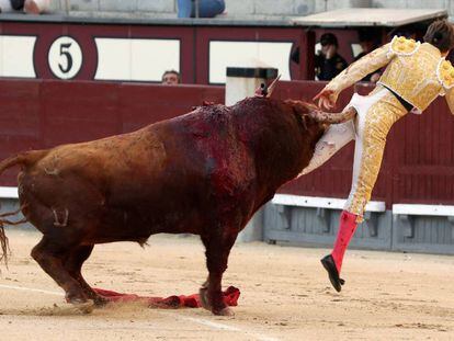 Juan Leal es corneado por su primer toro, hoy en Las Ventas.