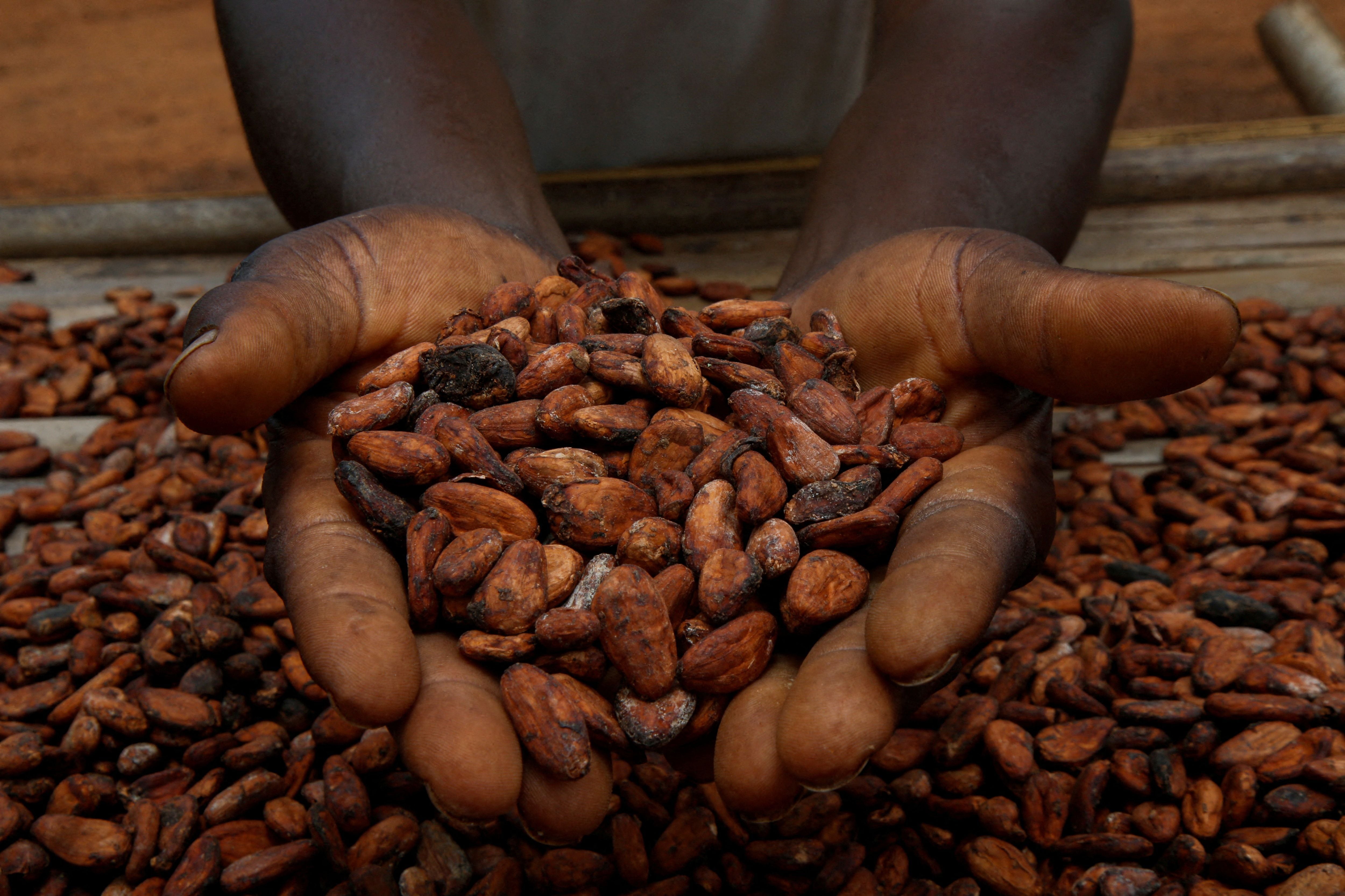 El precio del cacao explota en los mercados y alienta la crisis del chocolate