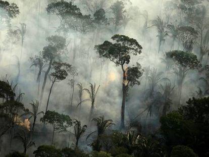 Incendio en un área de la selva amazónica cerca de Porto Velho, Estado de Rondonia (Brasil), en septiembre.