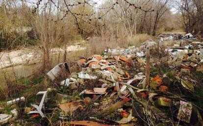 Basura acumulada en un tramo del r&iacute;o Manzanares. 