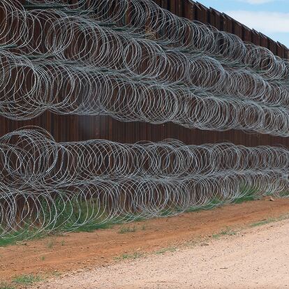 Fotografía "Correcaminos acercándose al muro fronterizo" tomada el 28 de abril de 2019 a unos pasos de la línea fronteriza entre Estados Unidos y México, en el condado de Naco, Arizona.