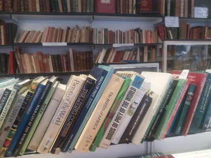 Fila de libros de ciencias naturales en la caseta de la feria.