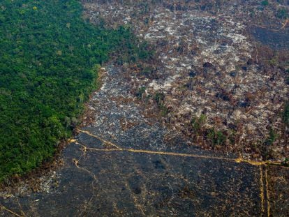 Una zona de la Amazonia deforestada en una vista aérea tomada en agosto pasado en la reserva biológica de Altamira. JOAO LAET AFP