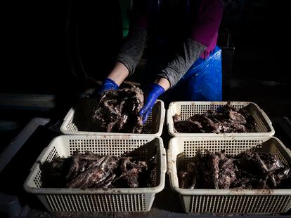 Residuos de la industria de la anchoa para hacer productos artesanales como 'garum', sal, y hasta un destilado.