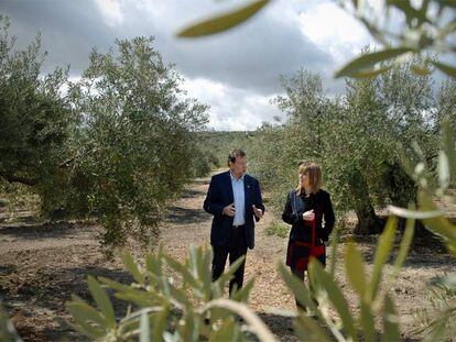 Rajoy pasea por los olivares de Martos con Ana Belén.