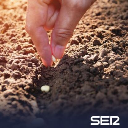 Hambre y cambio climático: Greenpeace explica qué es nuestra huella de carbono y cómo reducirla