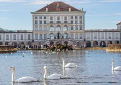 Cisnes ante el palacio de Nymphenbur, en Múnich, que acoge el Museo del Hombre y la Naturaleza.