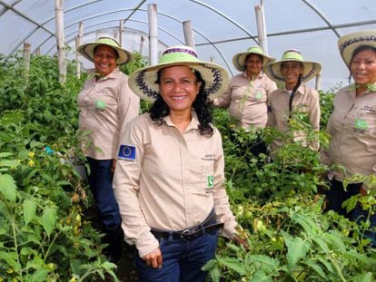 Un grupo de trabajadoras en Ciudad Mujer, una iniciativa del Gobierno de El Salvador.