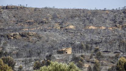 Zona devastada por el incendio cerca de Flix.