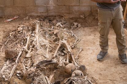Sevilla/02-06-2022: Restos óseos pertenecientes a la columna minera de Nerva encontrados en la fosa común 'Pico Reja', en el cementerio de San Fernando, Sevilla.FOTO: PACO PUENTES/EL PAIS
