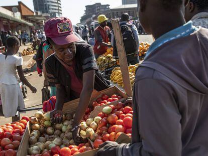 Un vendedor ambulante de tomates en su puesto en las calles de Harare (Zimbaue).