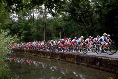 El pelotón, durante la 14ª etapa del Tour de 2019.