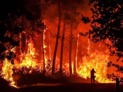 Una persona se aproxima a las llamas del incendio declarado en Belin-Beliet, al suroeste de Francia.