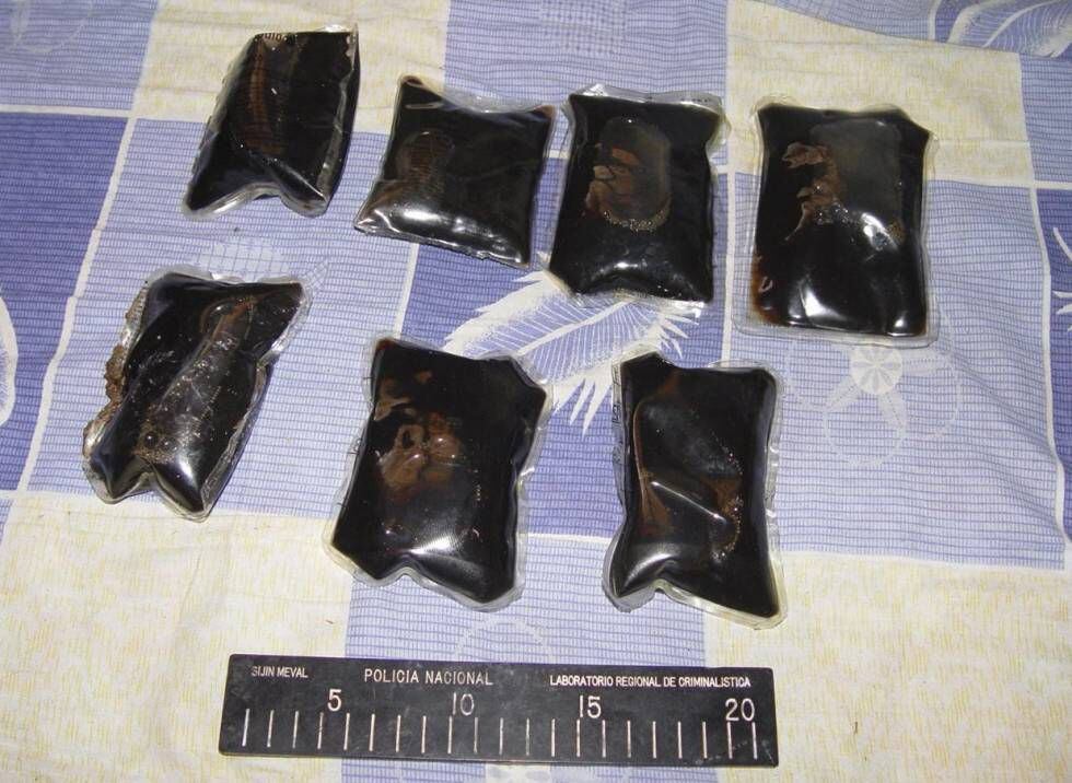 Paquetes de heroína extraída de cachorros.