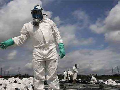 Especialistas en el tratamiento de tóxicos protegidos con máscara antigás limpian el lugar contaminado en las afueras de Abiyán.