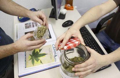 Dos usuarios comprueban la calidad de la marihuana en san Sebastián.