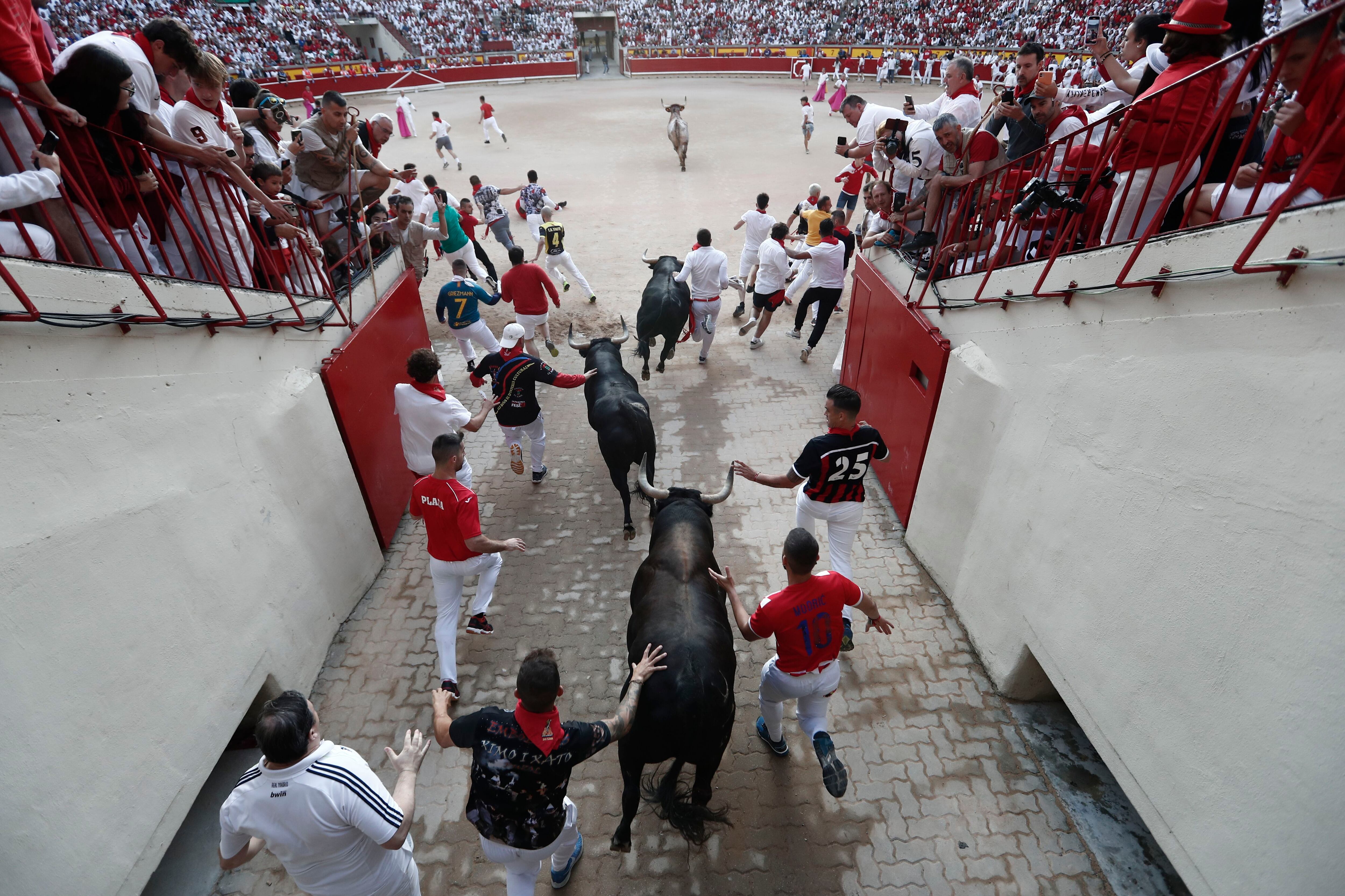 La manada de Jandilla a su llegada a la plaza de toros de Pamplona. 