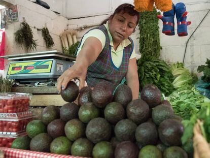 El aguacate, una fruta b&aacute;sica en la dieta mexicana, ha sido uno de los productos que m&aacute;s se han encarecido.