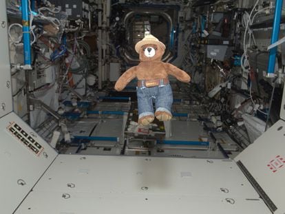 El osito 'Smokey Bear' flota libremente en la escotilla del laboratorio Destiny de la Estación Espacial Internacional (ISS), en mayo de 2012.
