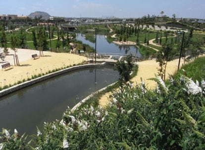 La Marjal park in Alicante, the first floodable urban park in Spain.