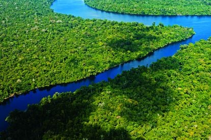 Reserva Nacional Pacaya Samiria, Perú. Foto: Wust Ediciones/SERNANP