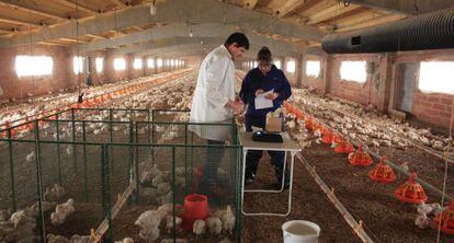 Alumnos del grado de Ciencias y Producción Animal en una granja.