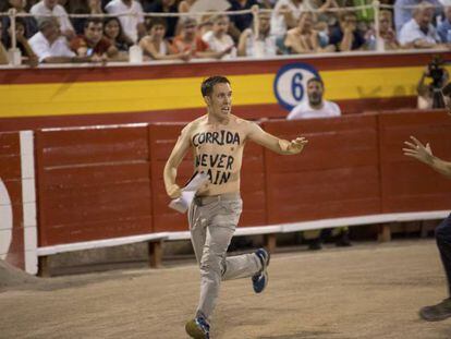 El activista holandés Peter Janssen se arrojó este viernes al ruedo del Coliseo Balear en señal de protesta por la muerte del toro. En vídeo, las corridas de toros vuelven a Palma.