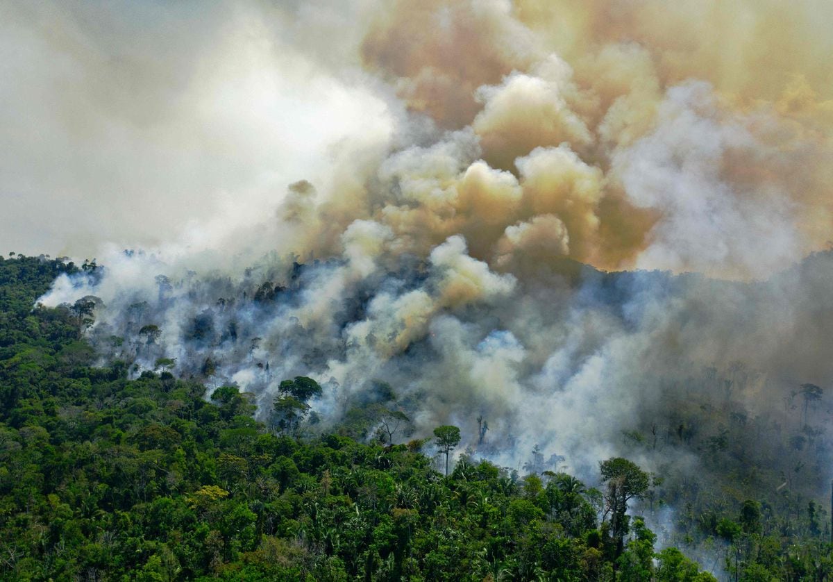 The United States has launched a program to combat climate change at the US Summit  International