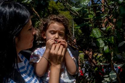 Una madre y su hija huelen la hoja de un arbol de guayaba feijoa.