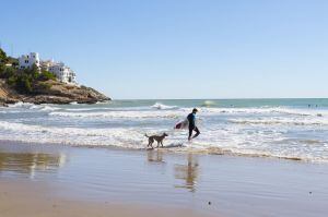 Un surfista con su perro en la playa de Sitges (Barcelona).