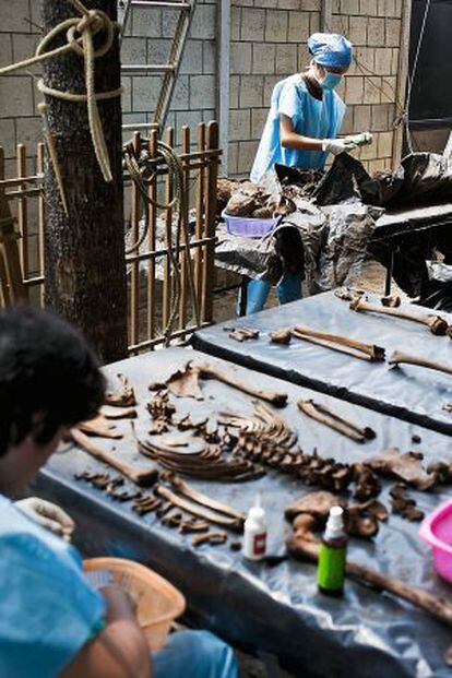 Parte del equipo de antropólogos forenses ordena y clasifica los huesos obtenidos de la fosa del cementerio de la capital, La Verbena.
