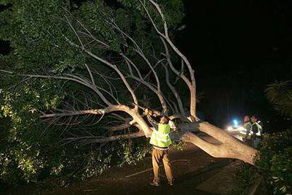 El temporal ha provocado numerosos destrozos esta noche a su paso por Tenerife.