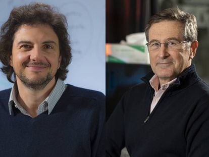 Los investigadores estadounidenses David Sabatini y Michael Hall.