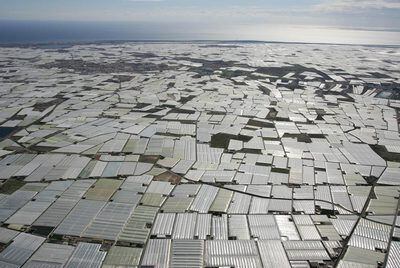 La producción de las 26.500 hectáreas de invernadero de Almería mejoraría con la inyección de dióxido de carbono bajo plástico, como ya realizan las empresas punteras.