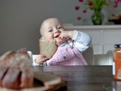 Un bebé de cuatro meses come un trozo de pan.