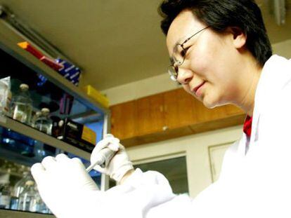 Chen Hualan en su laboratorio de Harbin (China).