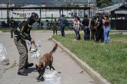 Un perro adiestrado de la  la Policía Nacional olfatea la comida que los familiares de las reclusas llevan el día de visitas.