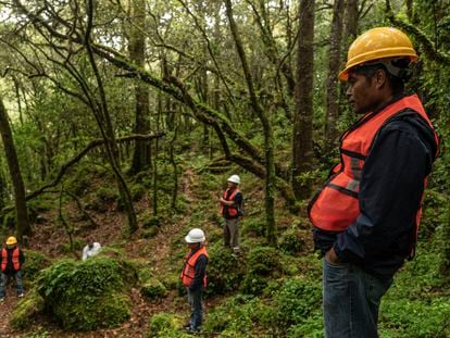 Habitantes de Santa María Jaltianguis, Estado de Oaxaca (México) recorren su bosque, parte de un programa de bonos de carbono.