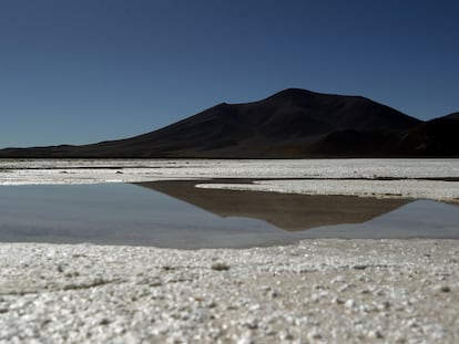 Fotografía del salar de Maricunga, el 6 de junio 2023 en la ciudad de Copiapó (Chile)