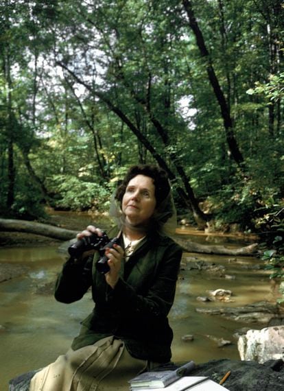 Rachel Carson en un bosque en 1962.