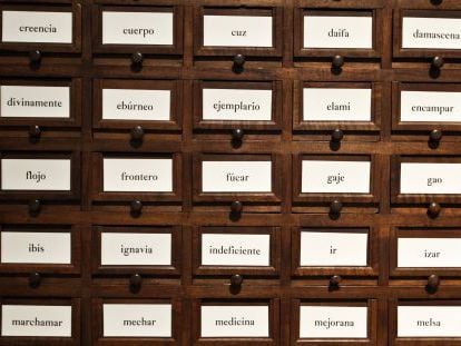 Armario de la Real Academia Espa&ntilde;ola (RAE) donde se almacenan fichas de palabras sobre las que se debate.