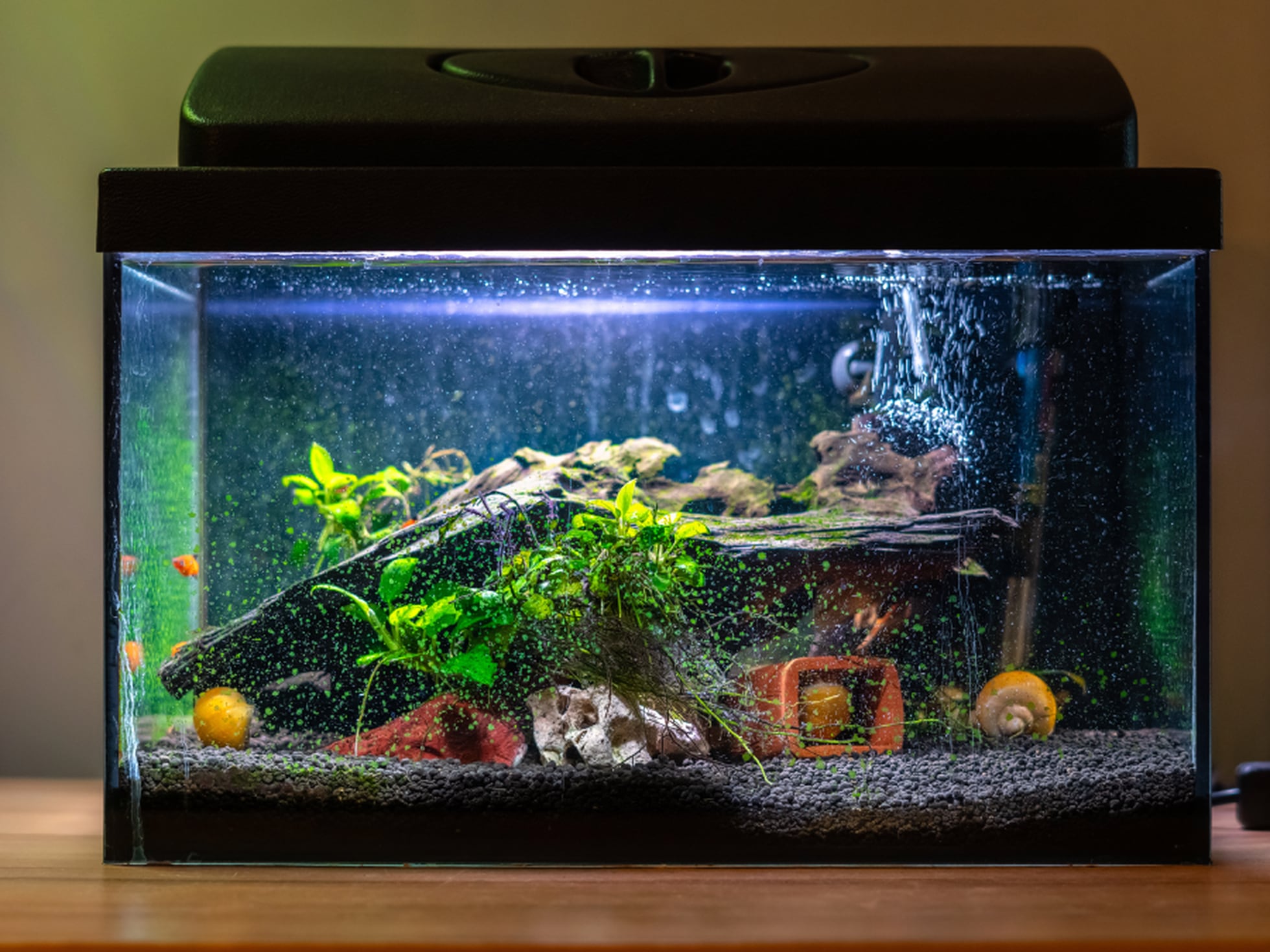 Acuario de 120 litros + depuradora de segunda mano por 150 EUR en