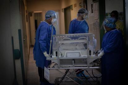 Los sanitarios trasladan a un bebé para realizarle la prueba de la covid-19, en el Hospital Materno Perinatal Mónica Pretelini Sáenz de México.