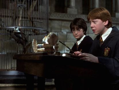 Daniel Radcliffe y Rupert Grint en una escena del film 'Harry Potter y la cámara secreta'.
