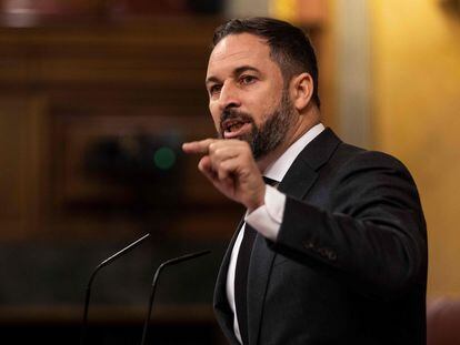 Abascal, este miércoles en el pleno del Congreso.