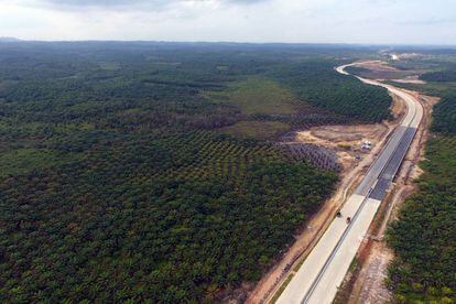 Vista aérea de la zona propuesta en Borneo para la nueva capital.