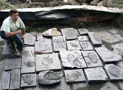 Juan Carlos Gutiérrez Marco, junto a varios ejemplares de trilobites fósiles de Arouca.